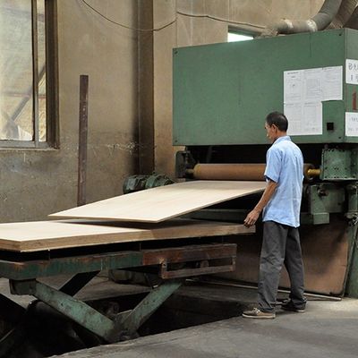 La entrepierna natural de Okoume del panel del hotel que la madera que empalma especial chapea tamaño alargado 2745m m puede ser servicio modificado para requisitos particulares