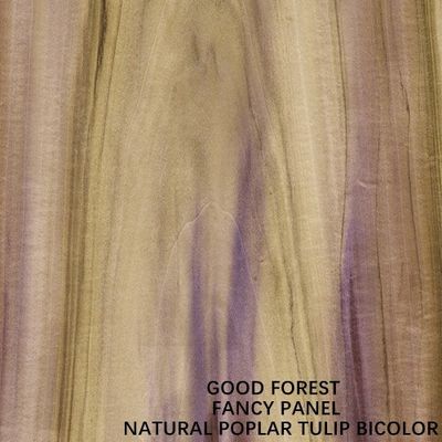 MDF de Tulip Plywood Based/tablero bicolores de lujo del conglomerado/de partícula para el panel de los muebles