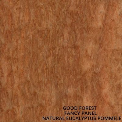 Tamaño de lujo especial de la longitud del grano 2745m m del pomo del tablero de la madera contrachapada del eucalipto para la decoración del hotel