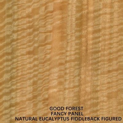 Un Normal Eucalyptus Fiddleback figurado elegante tablero de madera contrachapada MDF aglomerado 3/5/9/12/15/18/25/30mm de espesor