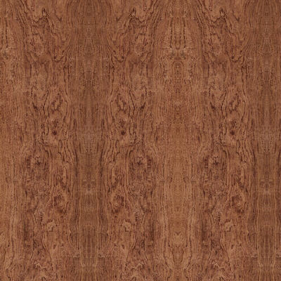 Tablero especial de la madera contrachapada de la suposición del racimo del olmo para la decoración del hotel sin pintura