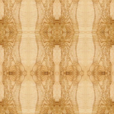 Suposición alargada Ash Burl Oliver Wood Veneer Book Match natural del tamaño que empalma para la decoración ISO del hotel