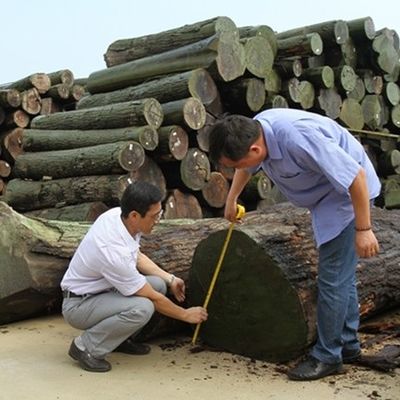 Fabuloso revestimiento de madera recompuesto de pera plateada Técnicas de corte de rodajas para anchura de grano recto 1280mm Empalme para la piel de la puerta
