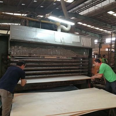 High-End Recon Veneer de madera de nuez natural Wt-X873n 2850mm longitud para la hoja de decoración de la puerta China Factory