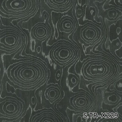 El hombre hizo veneer de madera del anillo del árbol de plata S.TR-X229 tamaño estándar 2500 * 640mm tablero decorativo para interiores para el contrachapado de lujo