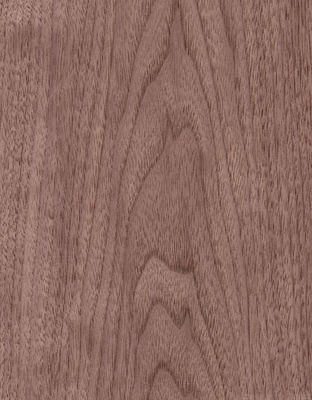América Noche Negra Venecedura de madera natural recta cortada para muebles y suelos de paneles de lujo en 0,18-0,55 mm de grosor