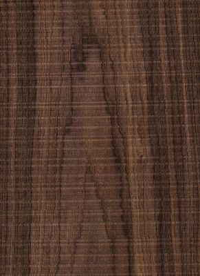 América Noche Negra Venecedura de madera natural recta cortada para muebles y suelos de paneles de lujo en 0,18-0,55 mm de grosor