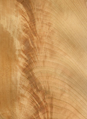 Camiseta de madera de cerezo natural de América cortado plano 2200-3200mm Tamaño normal para decoración de muebles