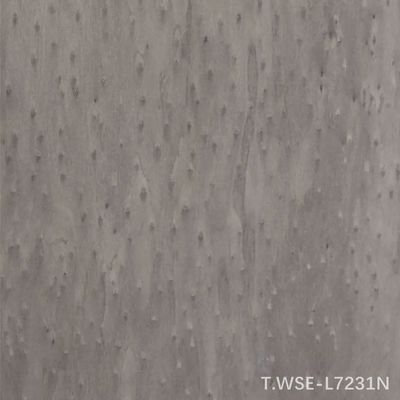 Nuevo Diseño de Chapa de Madera Reconstituida Decorativa de Madera de Ingeniería Logwood TSP-L0231N/l7231N Para Interior de Automóvil 0.5mm de Espesor