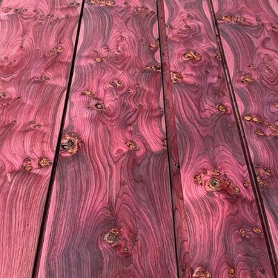 Chapa de Madera Natural Tintada con Plantas Iridescentes Vibrantes, Chapa de Madera Decorativa Sostenible y Ecológica para Diseño de Muebles de Interior de Lujo