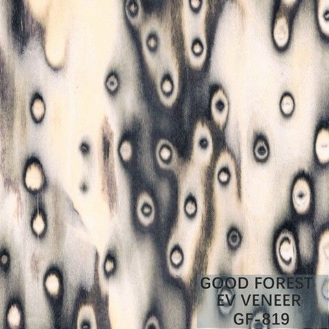 Tamaño de madera dirigido de Burl Wood Veneer EV 2500*640 milímetro del árbol de la chapa