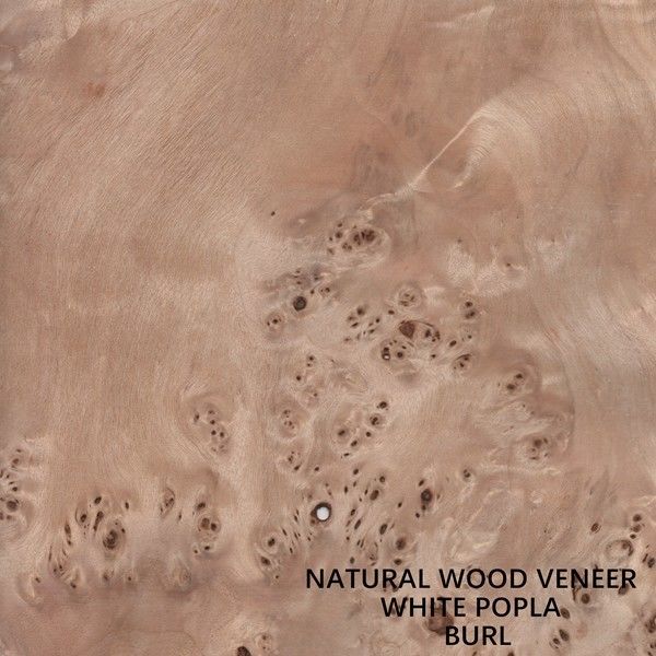 La madera natural del álamo de Europa chapea a Mapa Burl Grain High Quality Thickness 0.5m m para el instrumento musical
