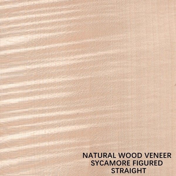 El cuarto figurado natural de la chapa de madera del sicómoro de Europa cortó el grueso 0.5m m del grano recto para morir y el gabinete