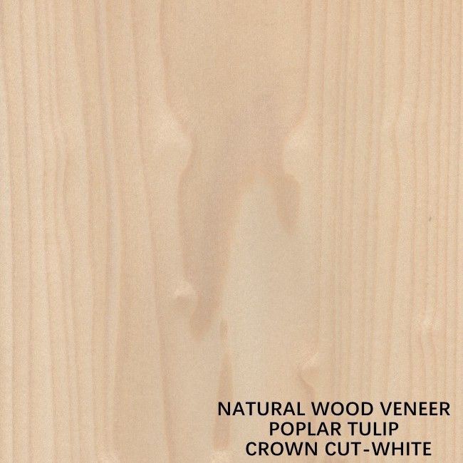 Tulip American Natural Poplar Wood chapea la corona cortada plana blanca para las puertas
