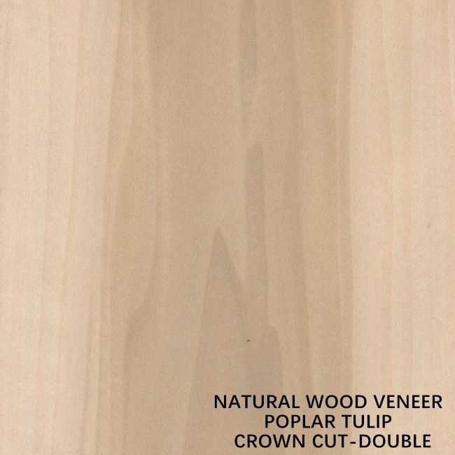 La madera natural americana del álamo del color doble chapea la corona cortada plana para la madera contrachapada de lujo