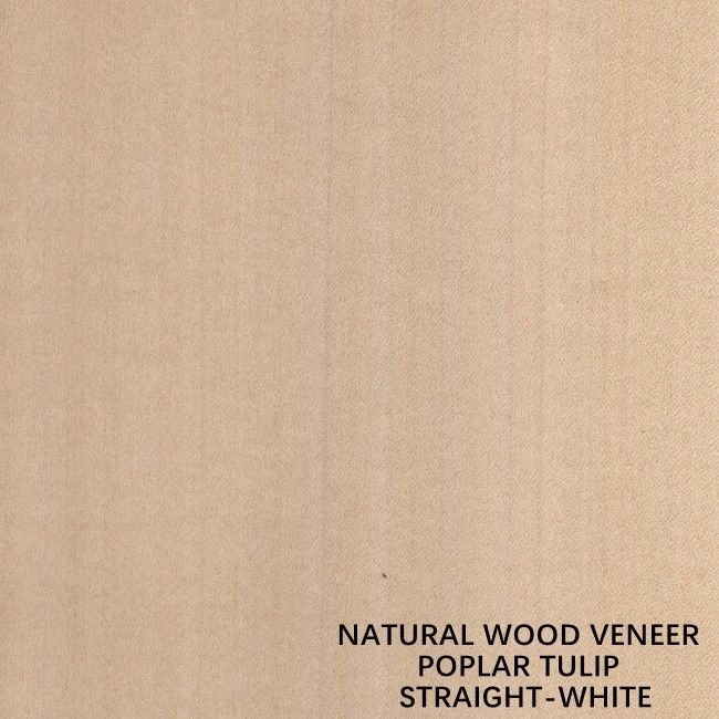 Chapa natural americana de madera del álamo del color blanco recto para la madera contrachapada/la puerta de lujo