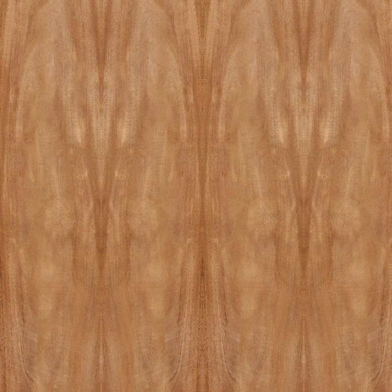 Tamaño estándar 2440*1220m m del grano de la corona de la chapa de madera de caoba natural de África para el gabinete de la puerta FSC