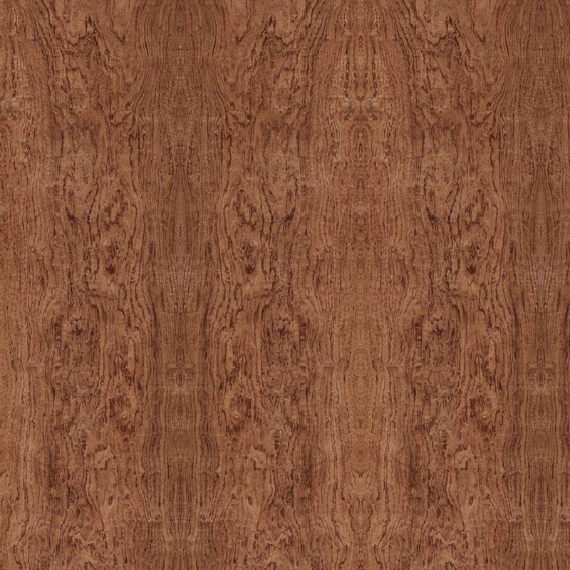 Tablero especial de la madera contrachapada de la suposición del racimo del olmo para la decoración del hotel sin pintura