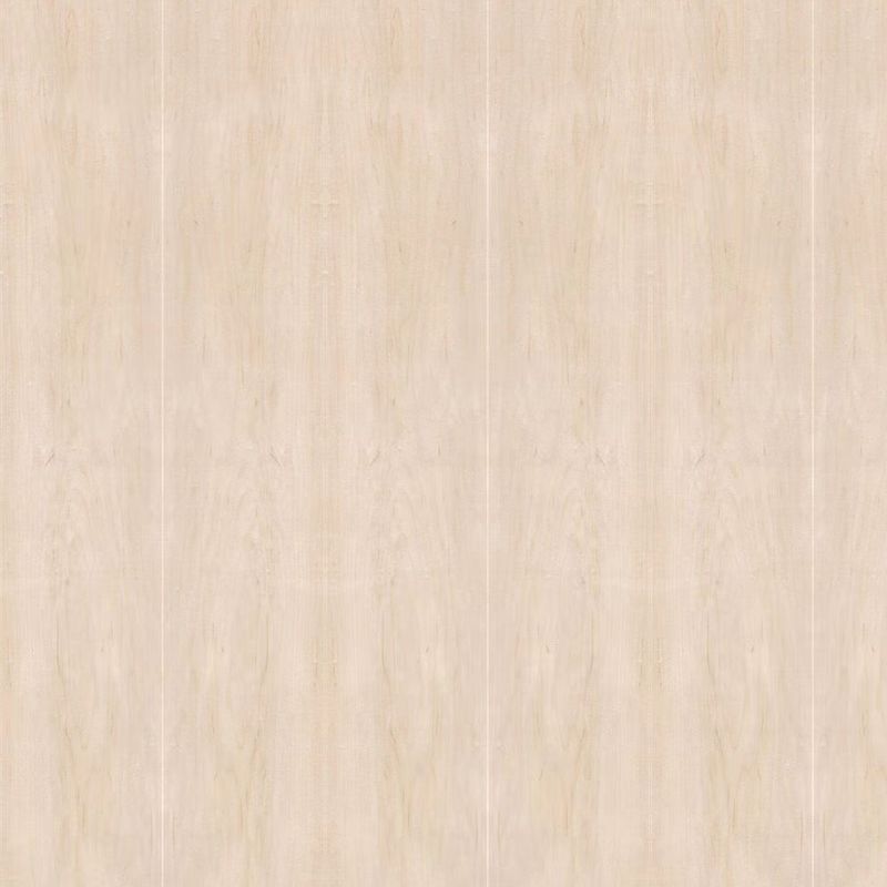 Talla 2440*1220 estándar hecha frente del arce de la chapa de madera natural de la corona para la ISO de la fábrica de China de los muebles y del gabinete