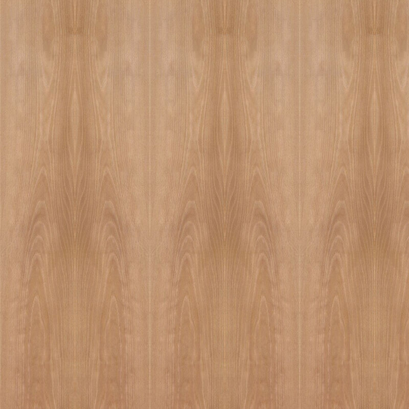 El panel de madera natural de lujo del tamaño estándar cocido al vapor 2440*1220m m de la corona de la haya para la puerta y precio China de Windows el buen hace