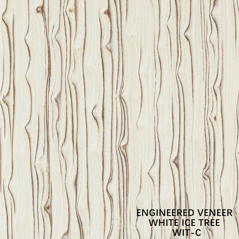 Simulación de madera Blanco de hielo Veneer de árbol de 3100 mm Tabla decorativa de interior