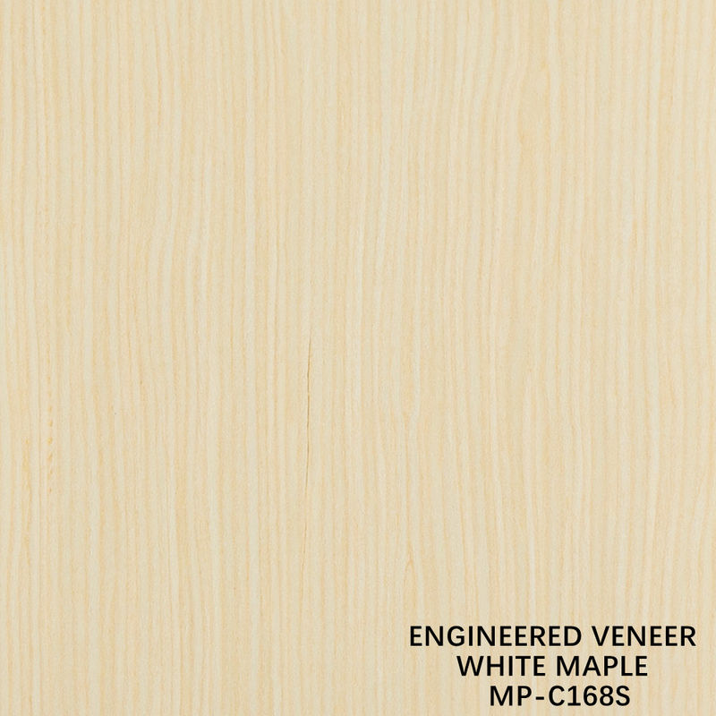 Fabricado de madera recombinada veneer blanco de arce 168S grano recto para el interior del coche
