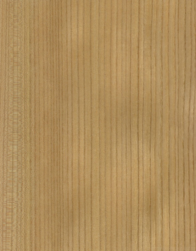 Madera sólida Hojas de olmo americano de grado A para coronas cortadas en cuartos de grano de color natural para la cara de la puerta 3200mm hacia arriba