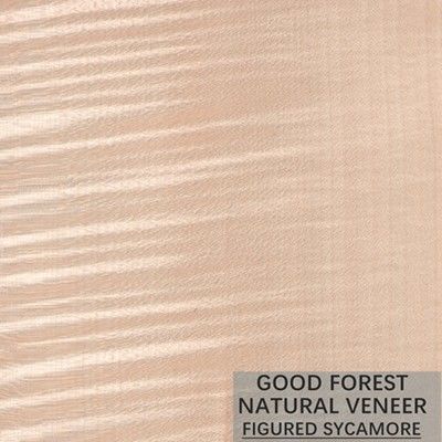 La madera figurada sicómoro natural chapea 0.3m m - 0.5m m para las puertas interiores