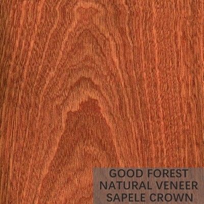 La chapa de madera natural de Sapele figuró la chapa de madera del grano para la decoración