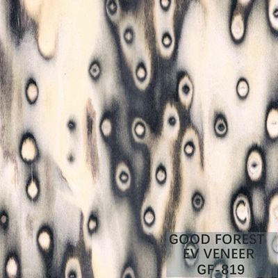 Tamaño de madera dirigido de Burl Wood Veneer EV 2500*640 milímetro del árbol de la chapa