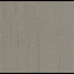 Superficies decorativas del substrato de la película de los PP de la ductilidad con Misty Rain Grain