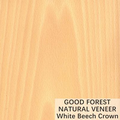 La corona natural de la chapa de madera de haya blanca cortó servicio modificado para requisitos particulares