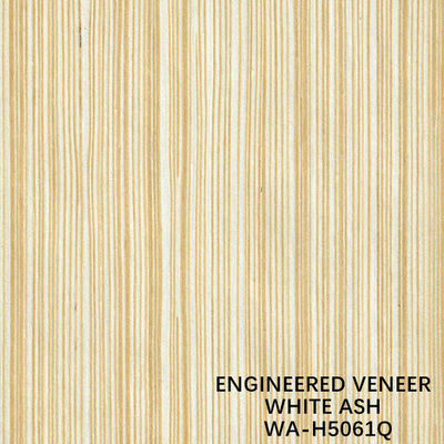 El cuarto renovado del color de Ash Wood Veneer Sheets Yellow cortó con - un H5061Q para las puertas/Windws