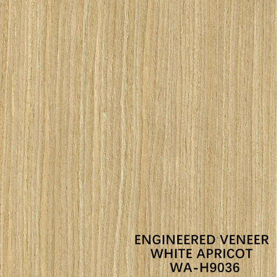 El ISO la madera blanca del albaricoque de la simulación chapea el corte recto H9036 para el fabricante From China de la cara del gabinete