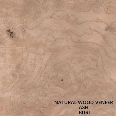 Precio blanco natural del grueso 0.55m m de Ash Veneer Wood Burl Grain del hotel buen para la venta al por mayor de China de la decoración del hotel