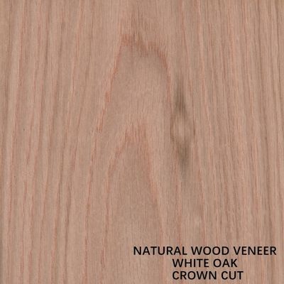 La madera de roble natural americana chapea la corona cortada plana cortó el grueso 0.5-0.55m m del grado del AAA del grano para la cara China del gabinete