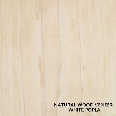Venecería de madera de álamo blanco natural Tamaño 2440*1220mm espesor 0.4mm Para la decoración de proyectos de muebles