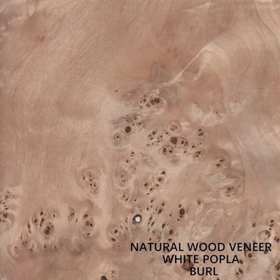 La madera natural del álamo de Europa chapea a Mapa Burl Grain High Quality Thickness 0.5m m para el instrumento musical