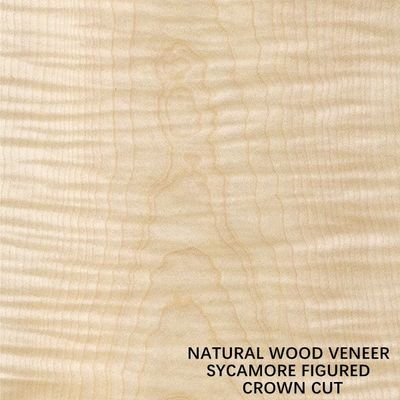 Europa que la madera figurada natural del sicómoro chapea la corona cortada plana cortó el grueso 0.5m m para morir y el gabinete