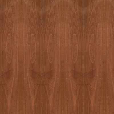 Grano de madera natural 5/9/12/15/18/25/30m m de la corona de la chapa de Sapele de la madera contrachapada de lujo