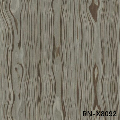 Roman RN-X8092C Coronado Grano Texturas irregulares 2500-3100mm Diseño moderno de puertas de madera